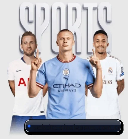 website-qipaigames.com.cn的故事