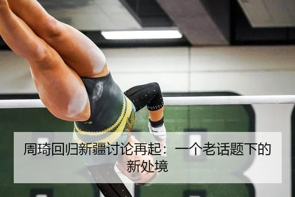 周琦回归新疆讨论再起：一个老话题下的新处境